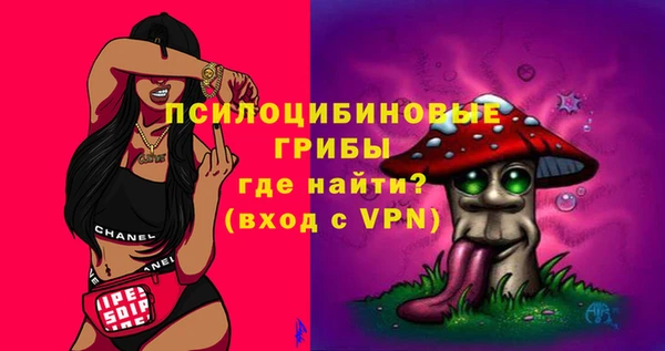амф Бугульма