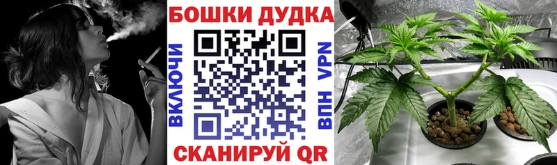 где купить наркоту Сосногорск Бошки Шишки планчик